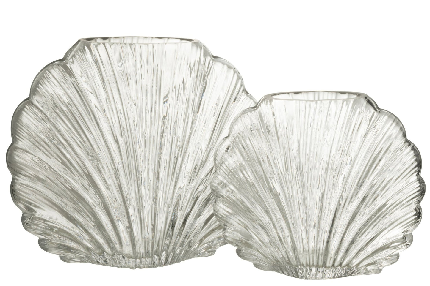 Vaso decorativo in vetro trasparente a forma di conchiglia della collezione "Oceano Azul" di Jolipa, caratterizzato da una superficie lavorata con scanalature verticali a rilievo che riflettono la luce. Questo originale complemento d'arredo di ispirazione marina è ideale per ospitare fiori freschi o come elegante centrotavola per impreziosire gli ambienti di casa.