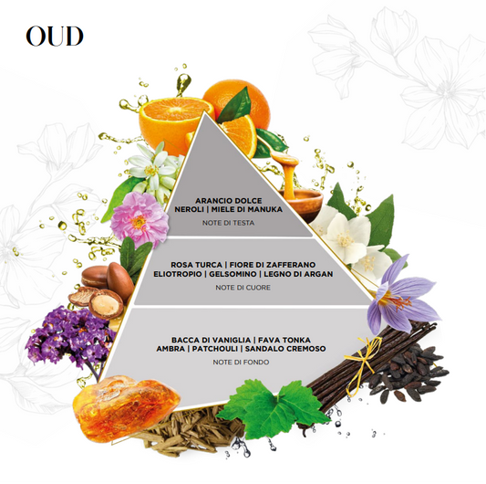 La Piramide Olfattiva Oud EDG descrive graficamente la composizione di questa fragranza per ambienti, caratterizzata da fresche note di testa agrumate al bergamotto e limone. Lo schema illustra lo sviluppo verso un cuore aromatico e legnoso di cipresso e legno di agar, per poi stabilizzarsi su profonde note di fondo arricchite da muschio d'albero e cuoio.
