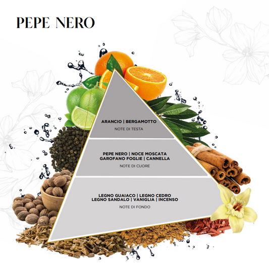 La Piramide Olfattiva Pepe Nero EDG illustra la composizione di questa intensa fragranza per ambienti, caratterizzata da agrumate note di testa all'arancio e bergamotto. Lo schema grafico evidenzia un cuore speziato di pepe nero, noce moscata, chiodi di garofano e cannella, che sfuma verso calde note di fondo di legni pregiati, vaniglia e incenso.