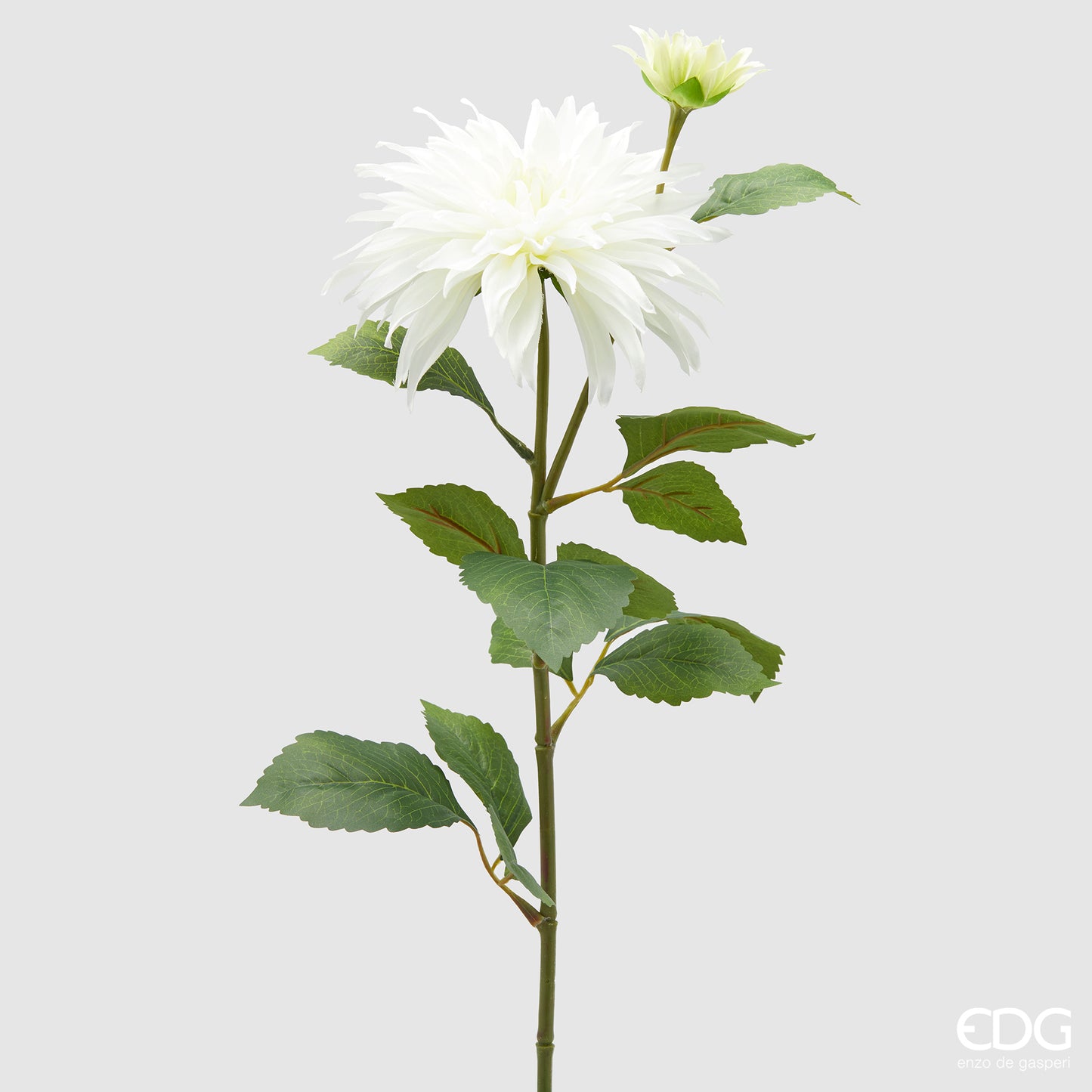 Ramo artificiale di Dalia EDG Enzo de Gasperi con foglie variegate verde scuro e fiore bianco. Fogliame e fiore realistici dal design slanciato, ideale per composizioni floreali e vasi d'arredo.