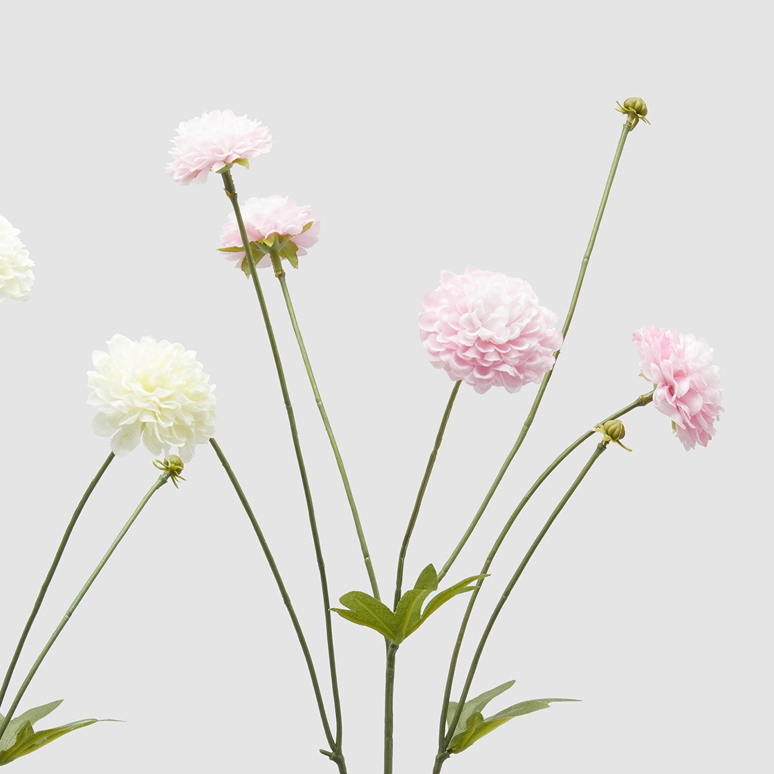 Dettaglio dei fiori nella variante rosa