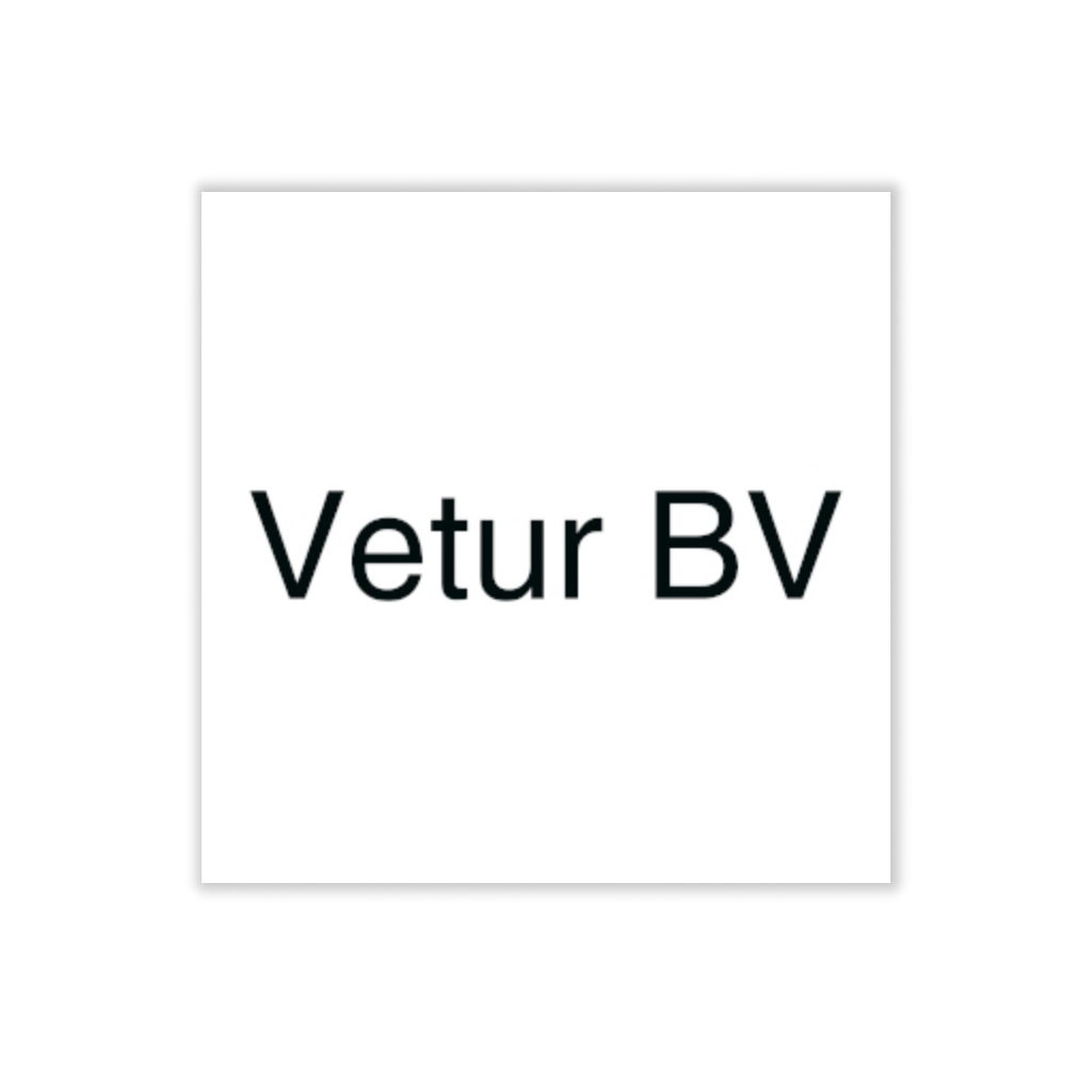 Vetur BV: La Magia delle Feste in Ogni Dettaglio