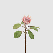 Ramo di protea sintetica edg con fiore dai petali giallo-verdi e bordi rosati e cuore piumoso rosa, su stelo con foglie verdi ovali. Elemento decorativo botanico per vaso, ideale per l’home décor e come idea regalo.