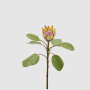 Ramo di protea sintetica edg con fiore dai petali giallo-verdi e bordi rosati e cuore piumoso rosa, su stelo con foglie verdi ovali. Elemento decorativo botanico per vaso, ideale per l’home décor e come idea regalo.