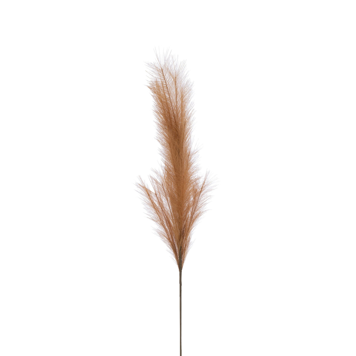 Ramo di pampas con piuma soffice color arancio ruggine su lungo stelo sottile. Elemento decorativo naturale per vaso, ideale per l'home décor dallo stile boho e come idea regalo.