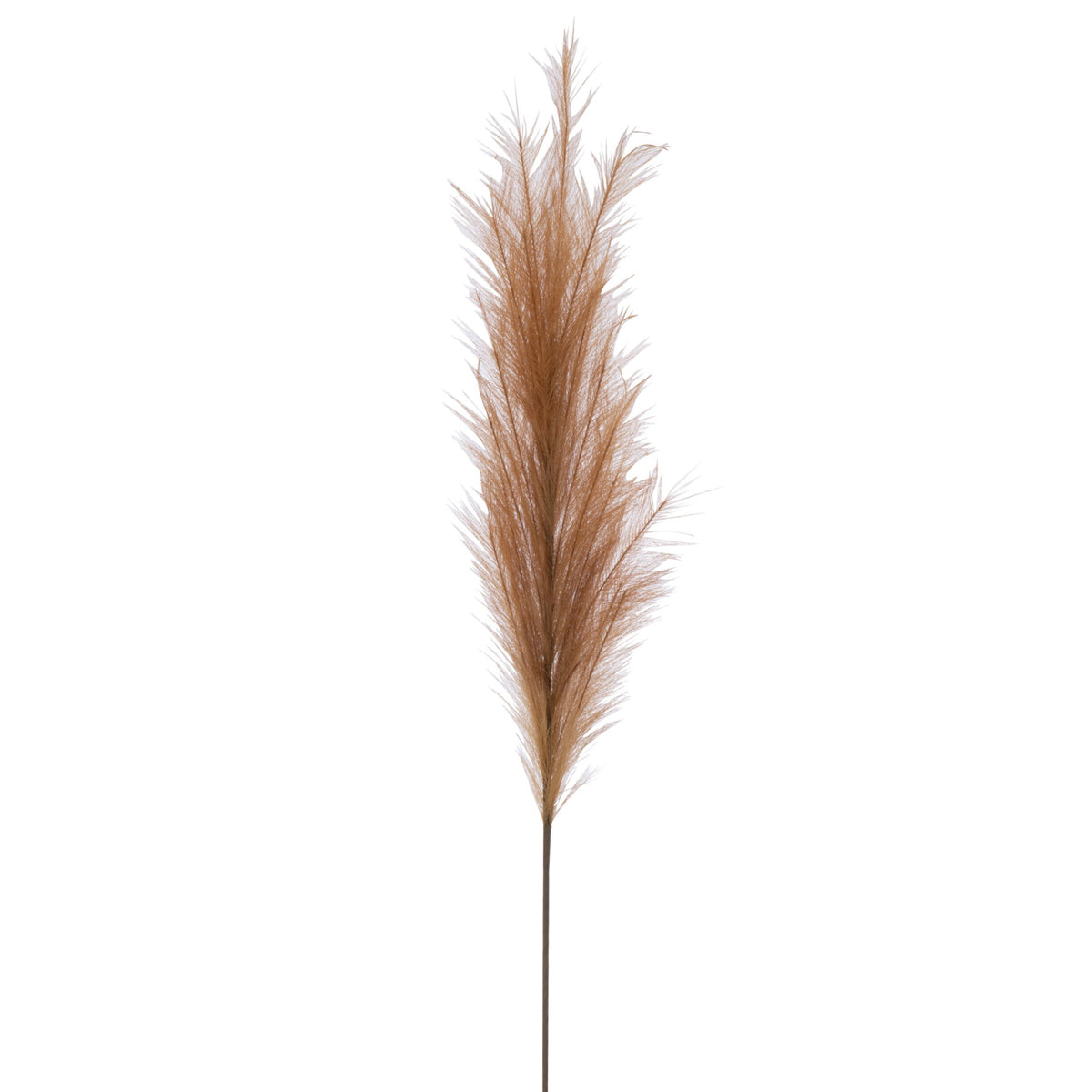 Ramo di pampas con piuma soffice color arancio ruggine su lungo stelo sottile. Elemento decorativo naturale per vaso, ideale per l'home décor dallo stile boho e come idea regalo.