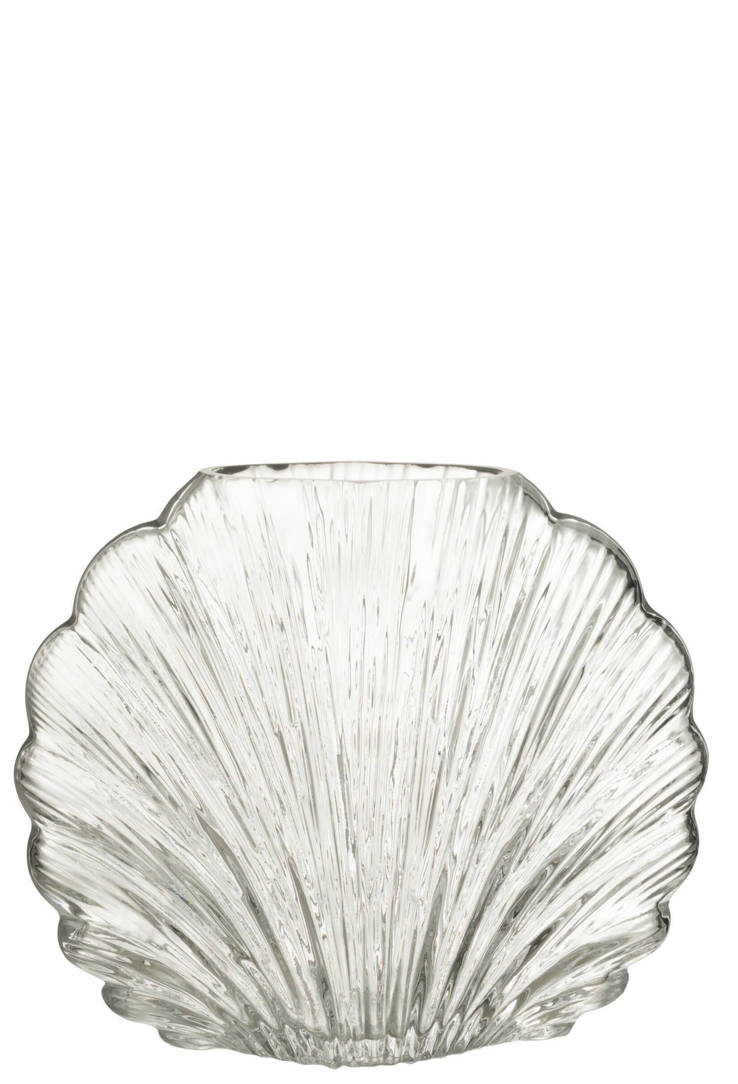 Vaso decorativo in vetro trasparente a forma di conchiglia della collezione "Oceano Azul" di Jolipa, caratterizzato da una superficie lavorata con scanalature verticali a rilievo che riflettono la luce. Questo originale complemento d'arredo di ispirazione marina è ideale per ospitare fiori freschi o come elegante centrotavola per impreziosire gli ambienti di casa.