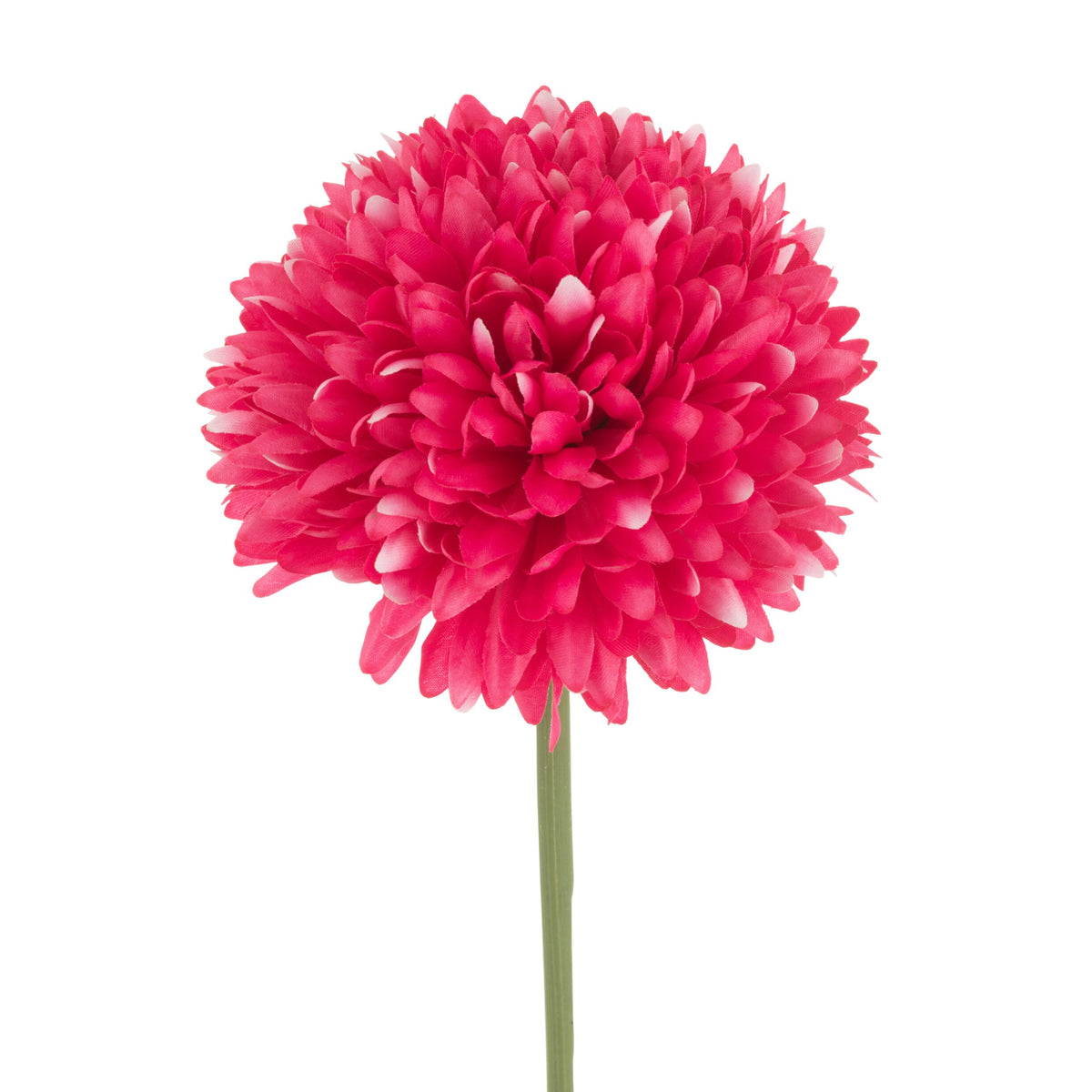 Crisantemo artificiale jolipa con corolla sferica color fuchsia composta da piccoli petali compatti, su lungo stelo verde. Fiore decorativo dall’effetto pompon, ideale per l’home décor e come idea regalo.