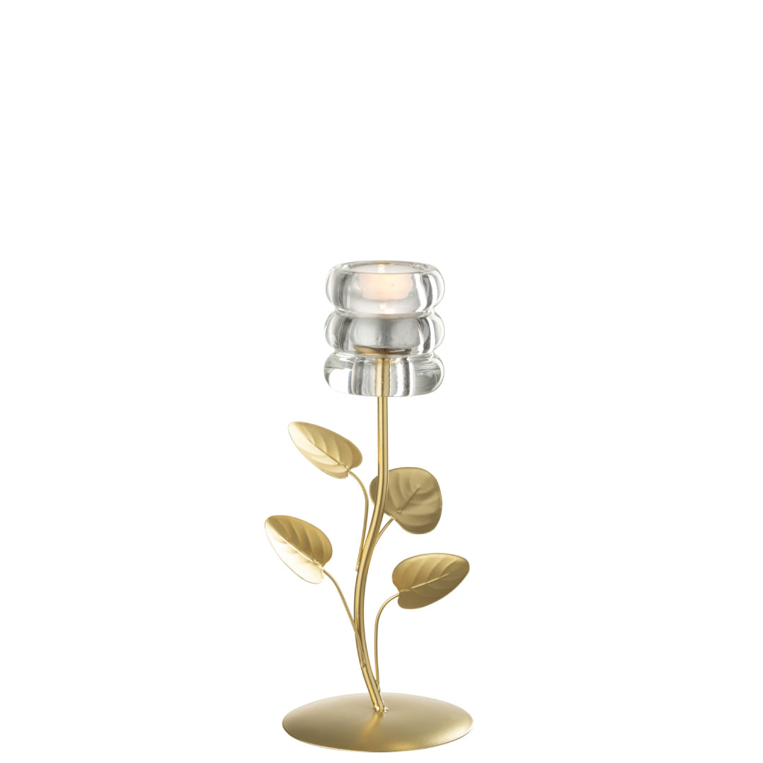 Candeliere decorativo caratterizzato da uno stelo metallico dorato a forma di ramo con foglie e da una base circolare abbinata. La parte superiore è rifinita con un elegante portalampada o portacandela in vetro trasparente con lavorazione a cerchi concentrici spessi, ideale per impreziosire i tavoli o le superfici di casa.