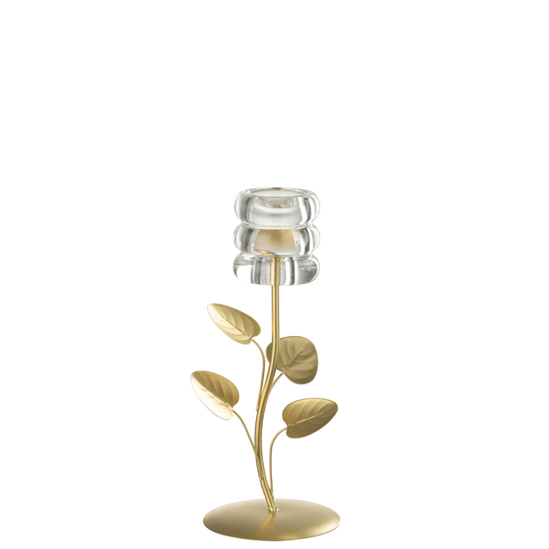 Candeliere decorativo caratterizzato da uno stelo metallico dorato a forma di ramo con foglie e da una base circolare abbinata. La parte superiore è rifinita con un elegante portalampada o portacandela in vetro trasparente con lavorazione a cerchi concentrici spessi, ideale per impreziosire i tavoli o le superfici di casa.