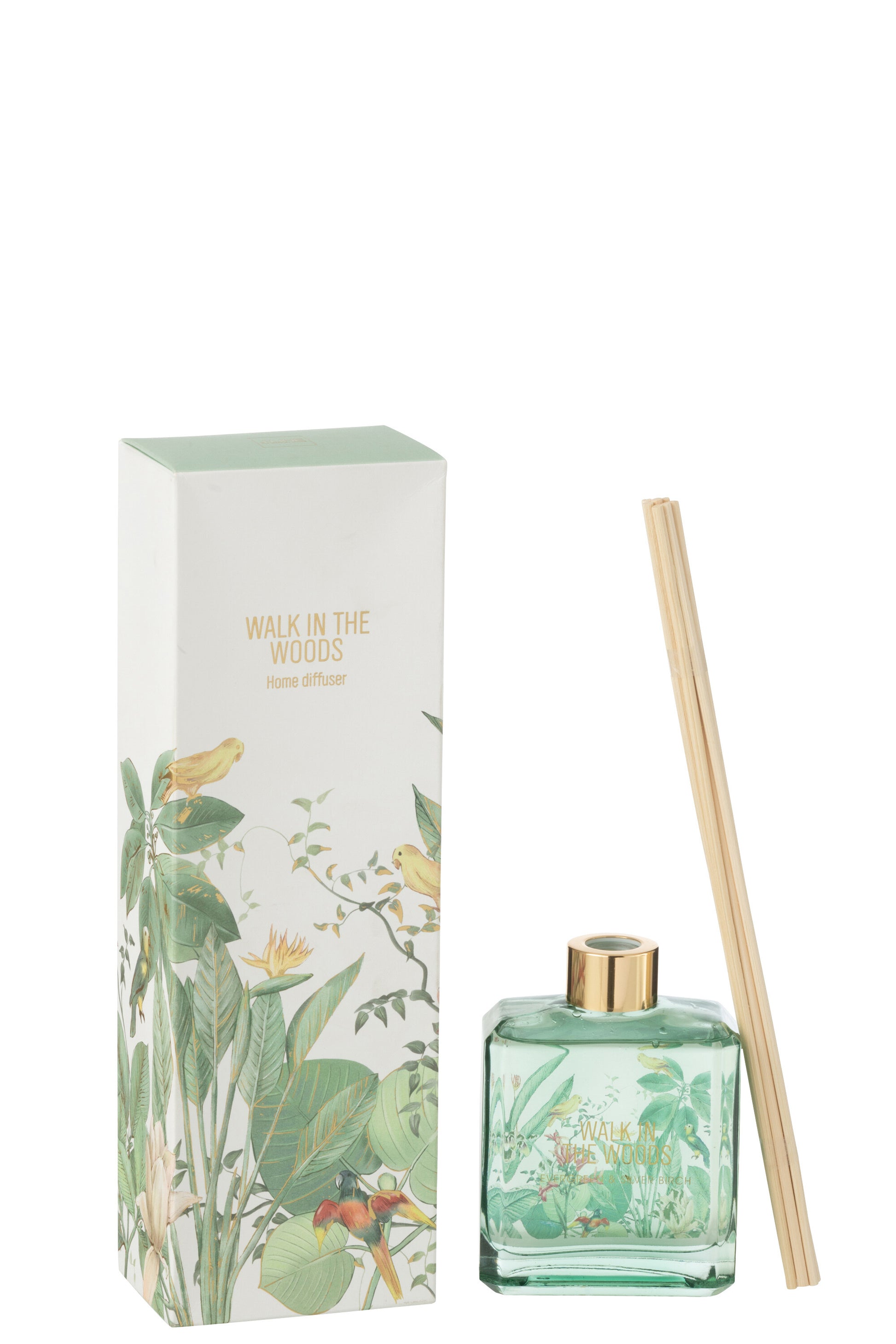 
Il Diffusore per Ambienti Walk in the Woods Jolipa è un raffinato set fragranza composto da una boccetta in vetro verde trasparente con bastoncini diffusori e una confezione decorata con uccellini esotici e lussureggianti foglie tropicali. Questa profumazione d'ambiente dal design naturale è perfetta per donare freschezza ai tuoi spazi o come elegante idea regalo per l'home decor.