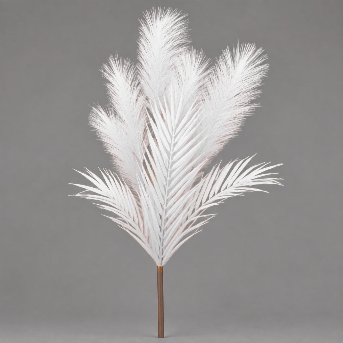 Ramo di Pampas Maxi, Assortito