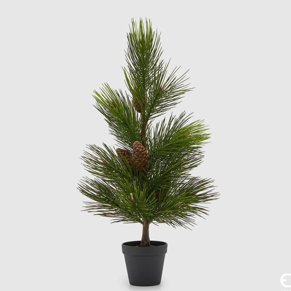 Pino Mugo Artificiale con Pigne e Vaso con aghi lunghi di colore verde e piccole pigne naturali sui rami. Alberello decorativo da interno integrato in un vasetto nero, ideale per decorazioni natalizie su tavoli e mensole.