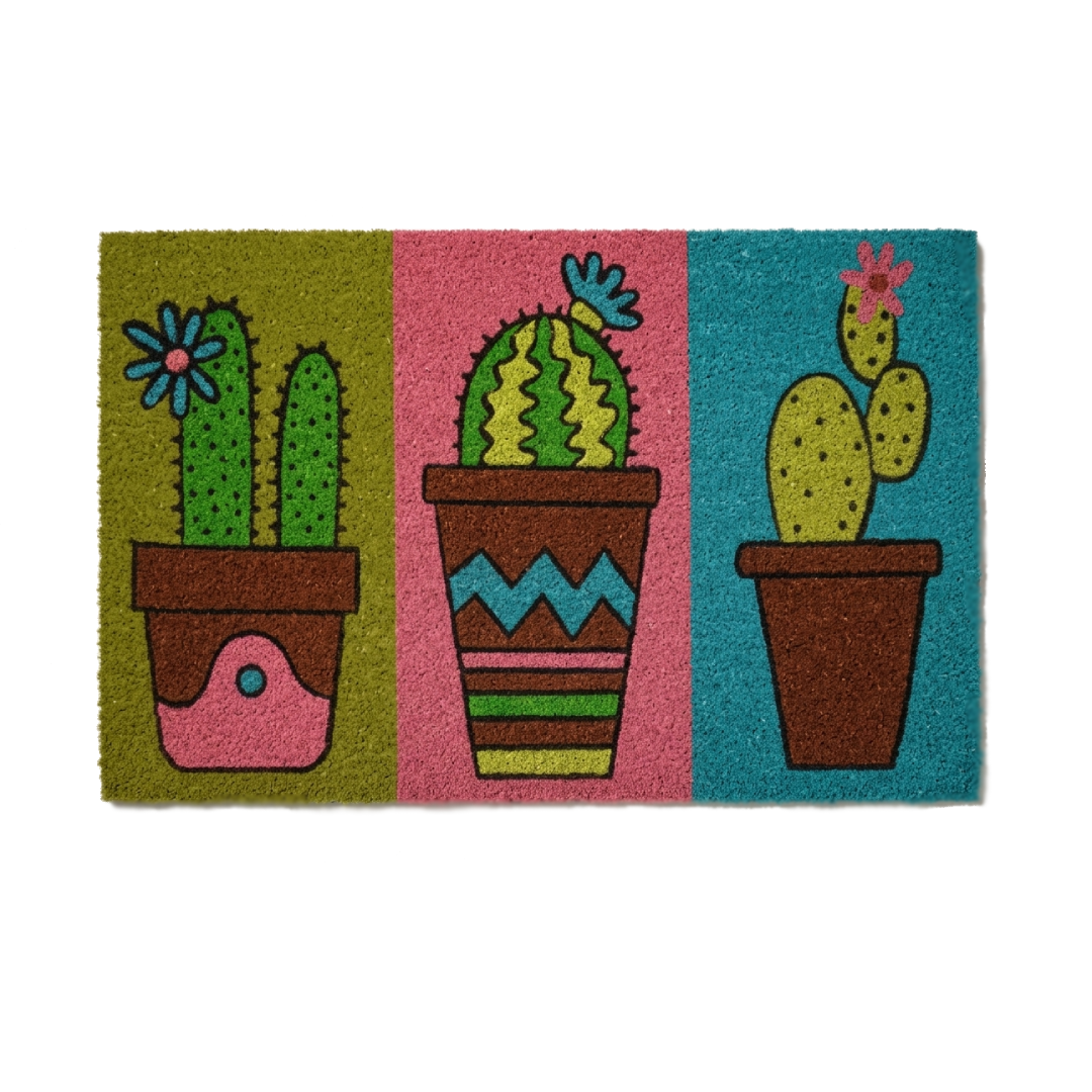 Focus principale su diverse tipologie di cactus con piccoli fiori colorati, presentati in vasi decorati con motivi a zig-zag o pois.