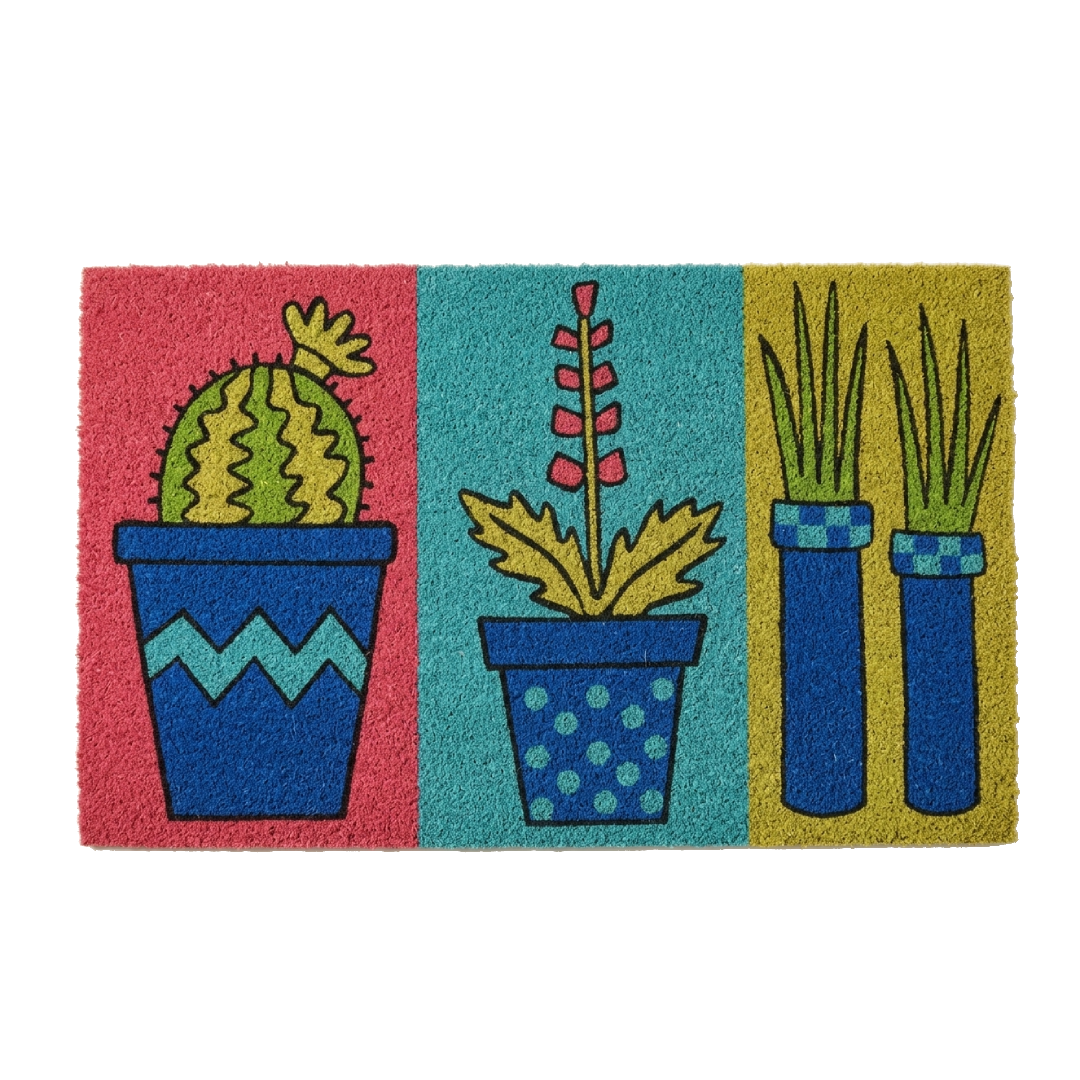 Focus principale su diverse tipologie di cactus con piccoli fiori colorati, presentati in vasi decorati con motivi a zig-zag o pois.