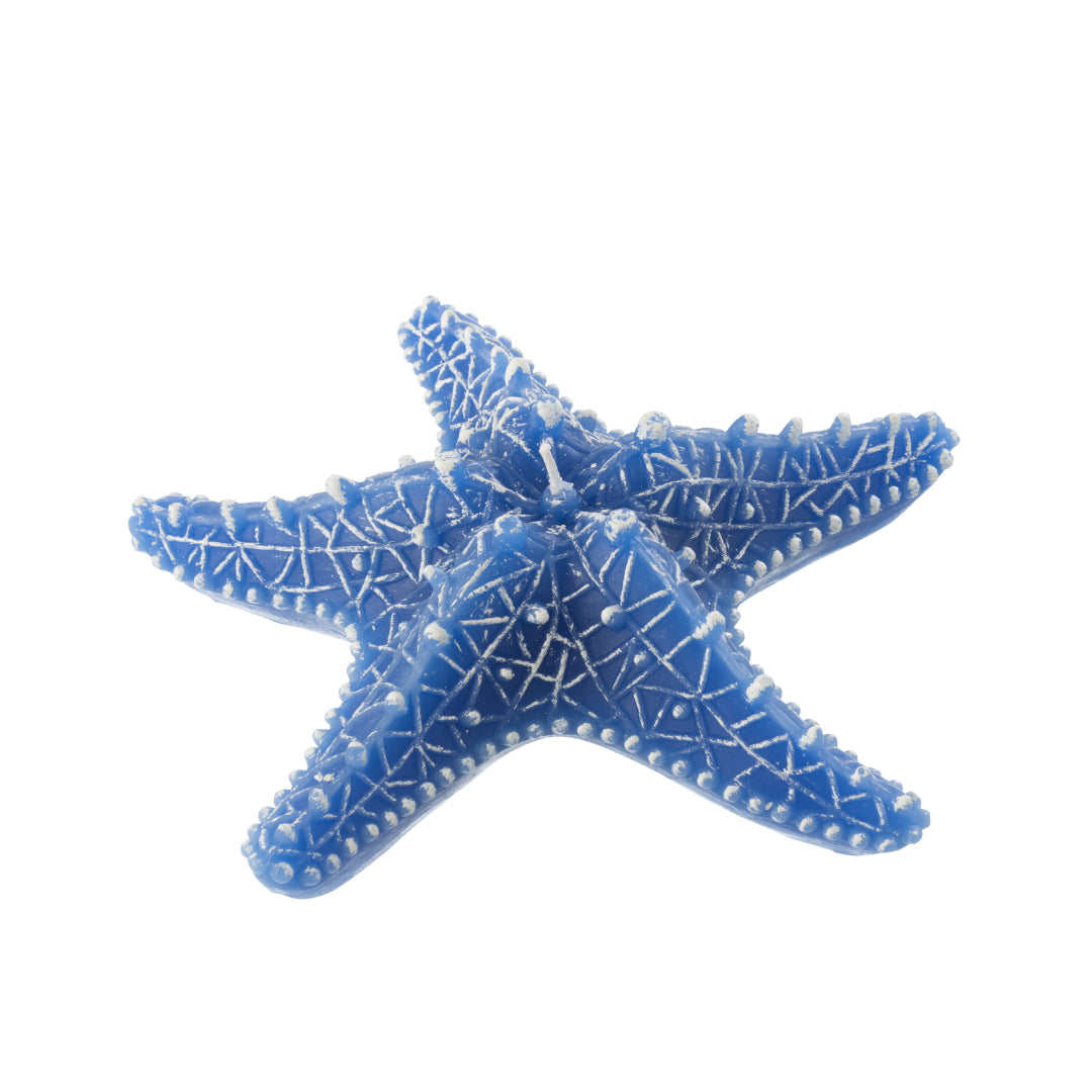 Candela a forma di stella marina grande blu del marchio Jolipa, ideale come oggetto decorativo per creare un'atmosfera estiva o per arredare in stile marinaro. L'accessorio presenta una superficie texturizzata con venature e rilievi bianchi ben definiti, fotografato in primo piano su sfondo bianco.