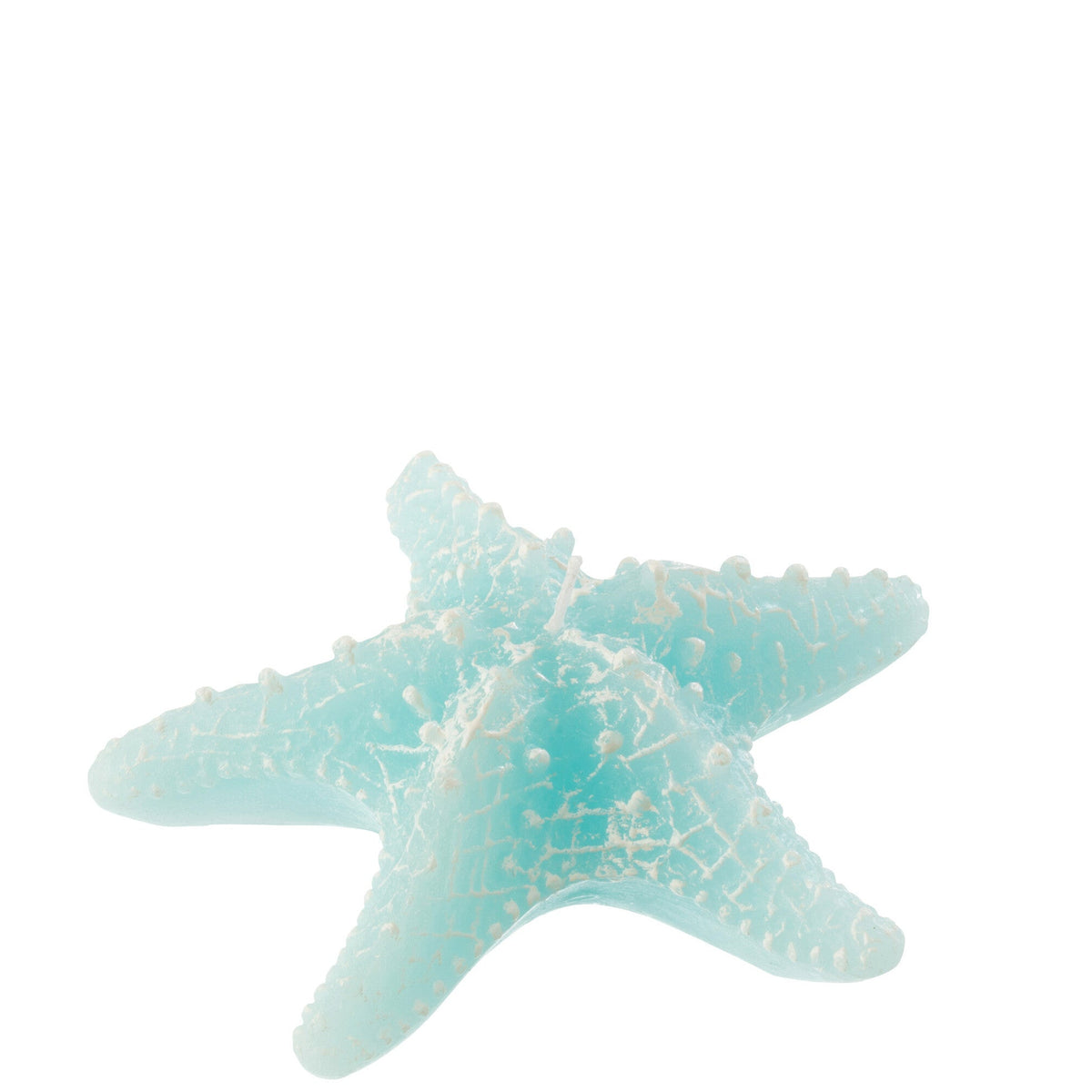 Candela a forma di stella marina piccola azzurra firmata Jolipa, perfetta come elemento decorativo e centrotavola per una casa in stile marino o costiero. Il complemento d'arredo presenta dettagli realistici in rilievo con sfumature bianche ed è fotografato su un fondo bianco isolato.