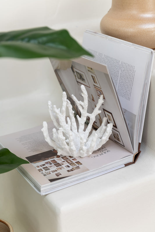 Corallo in resina bianco della linea "Oceano Azul" di Jolipa, una decorazione elegante di piccole dimensioni ideale per completare un arredamento in stile marinaro o coastal. L'oggetto ornamentale riproduce fedelmente le ramificazioni naturali del corallo marino ed è fotografato su uno sfondo bianco pulito.