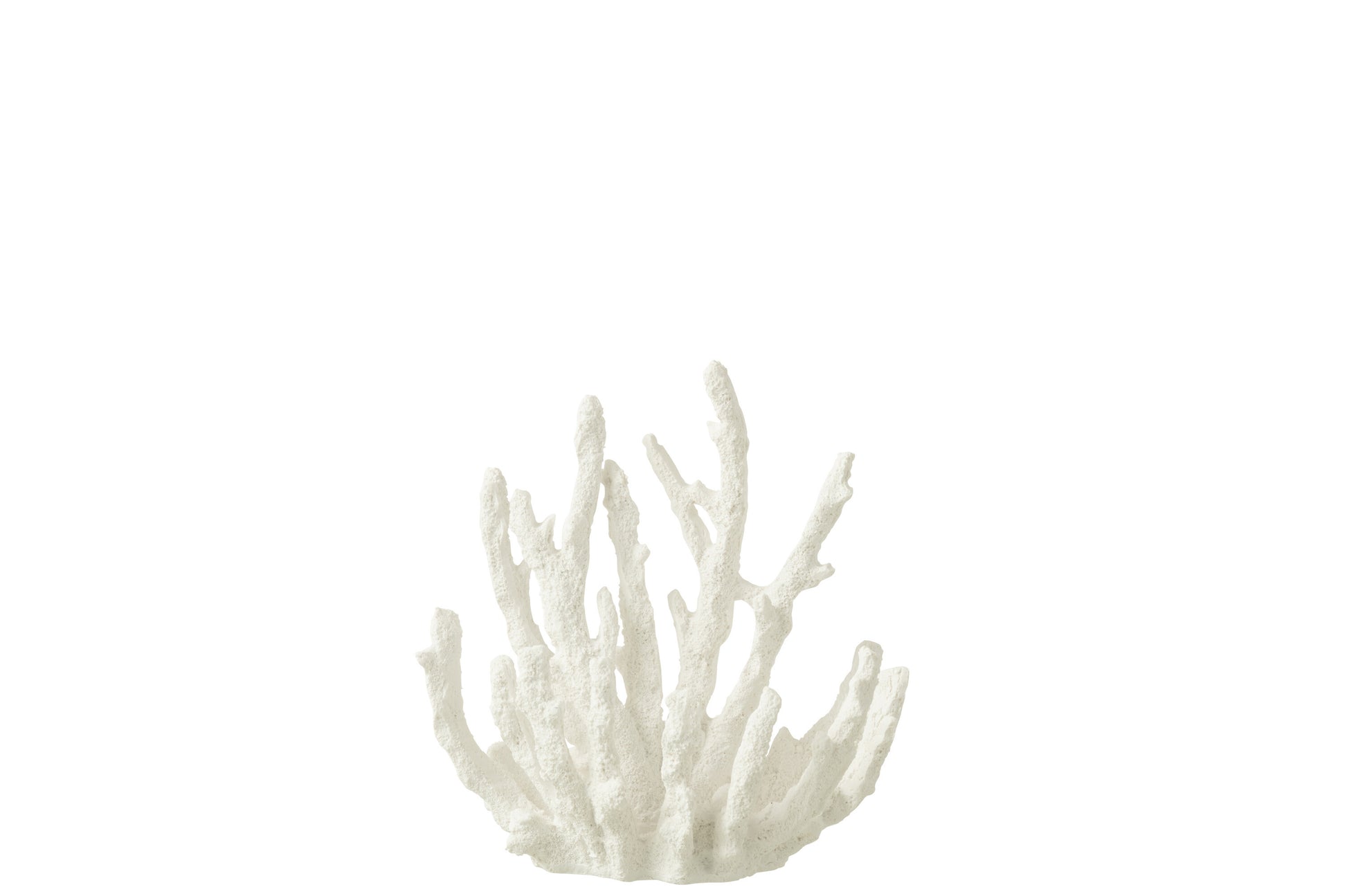 Corallo in resina bianco della linea "Oceano Azul" di Jolipa, una decorazione elegante di piccole dimensioni ideale per completare un arredamento in stile marinaro o coastal. L'oggetto ornamentale riproduce fedelmente le ramificazioni naturali del corallo marino ed è fotografato su uno sfondo bianco pulito.