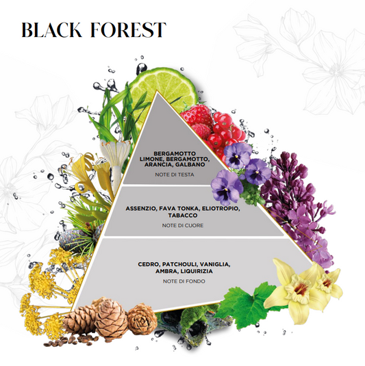 La Piramide Olfattiva Black Forest EDG illustra la complessa struttura di questa fragranza per ambienti, che esordisce con note di testa fresche e fruttate di bergamotto, limone, arancia. Lo schema grafico mostra l'evoluzione verso un cuore fiorito e aromatico di assenzio, fava tonka e tabacco, per poi stabilizzarsi su profonde note di fondo legnose e ambrate di legno cedro, patchouli, fava tonka, vaniglia, ambra e liquirizia