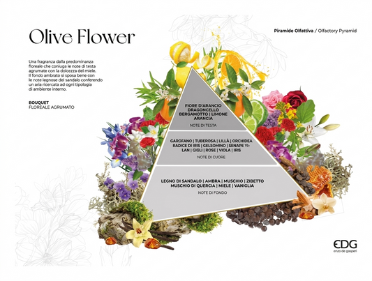 La Piramide Olfattiva Olive Flower EDG illustra graficamente la composizione di questa fragranza per ambienti, caratterizzata da un bouquet floreale agrumato con note di testa all'arancia e limone. Lo schema dettagliato mostra la transizione verso un cuore fiorito di iris e orchidea, per poi chiudersi su calde note di fondo legnose e dolci al miele e vaniglia.