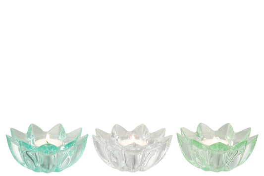 Portacandele a forma di fiore in vetro colorato assortiti firmati Jolipa, caratterizzati da petali sagomati e sfaccettati che creano eleganti riflessi di luce con le candele tea light. Disponibili nelle vivaci varianti trasparente celeste, bianco e verde, questi piccoli candelabri decorativi di design sono perfetti per abbellire la tavola, creare atmosfera negli interni o come colorata idea regalo home decor.