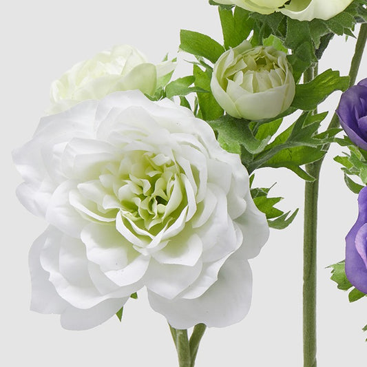 Dettaglio della variante dell'anemone bianco