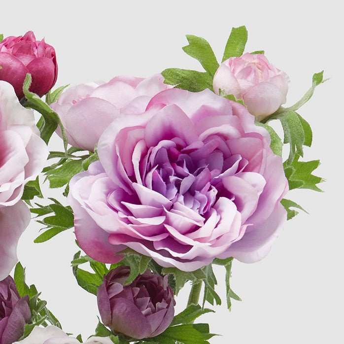 Dettaglio della variante dell'anemone fucsia