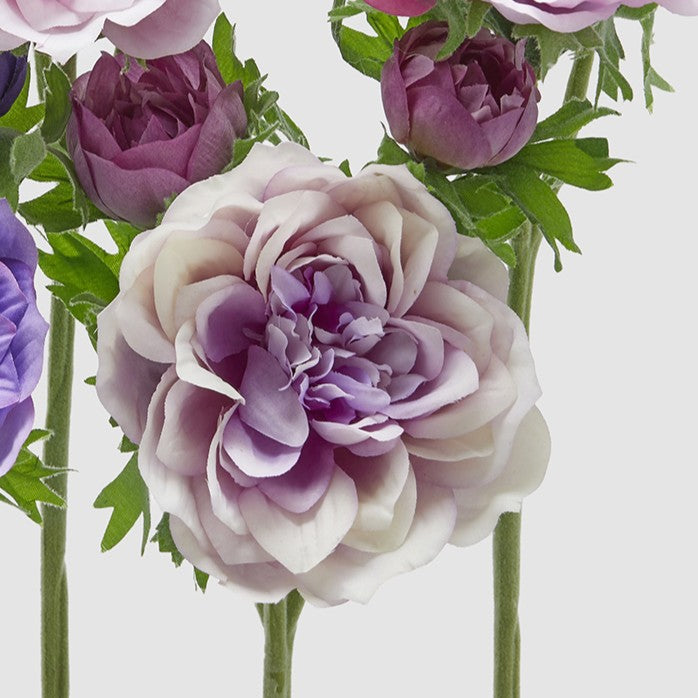 Dettaglio della variante dell'anemone malva