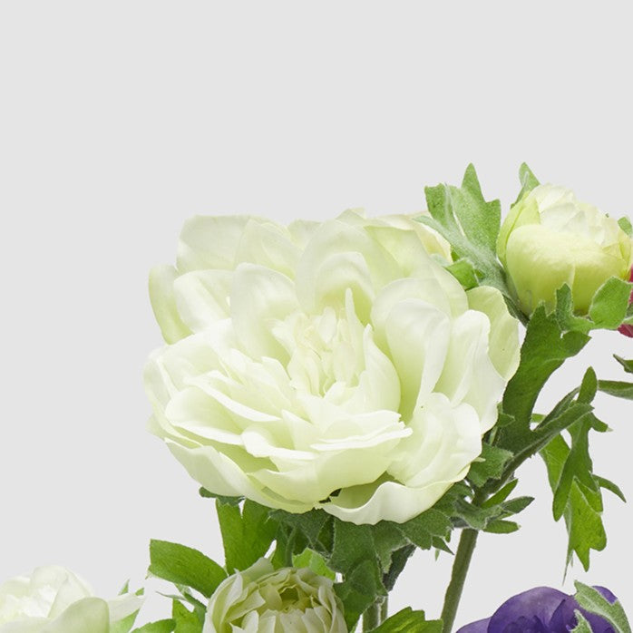 Dettaglio della variante dell'anemone panna