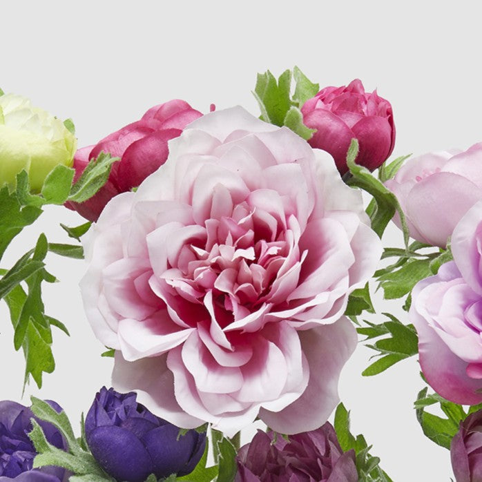 Dettaglio della variante dell'anemone rosa