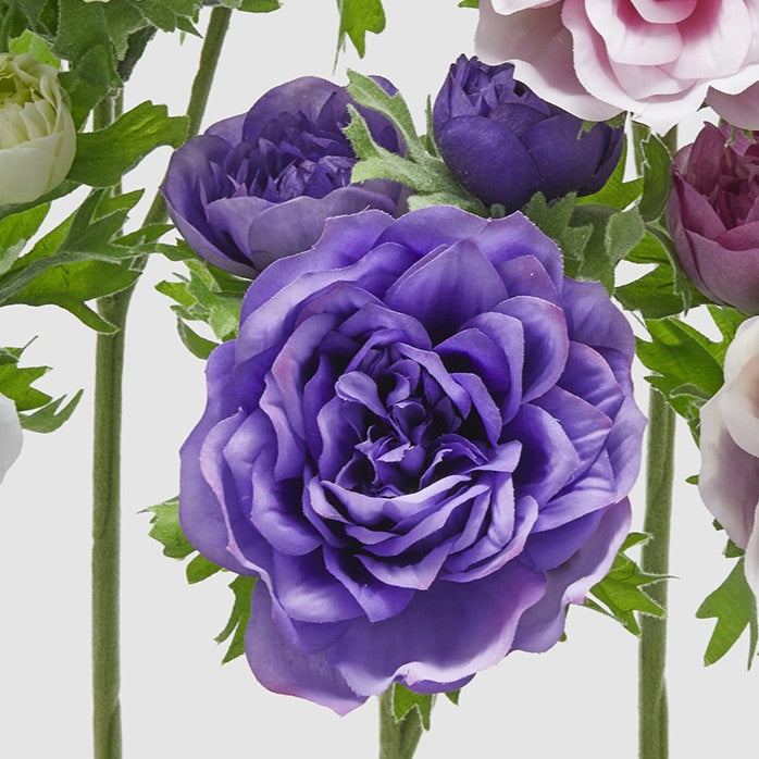 Dettaglio della variante dell'anemone viola