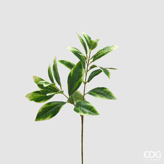 Ramo artificiale di ligustro EDG Enzo de Gasperi con foglie variegate verde scuro e margini crema. Fogliame realistico dal design slanciato, ideale per composizioni floreali e vasi d'arredo.