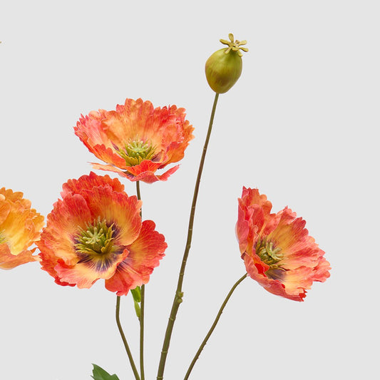 Dettaglio del papavero in silicone EDG nella variante colore rosso