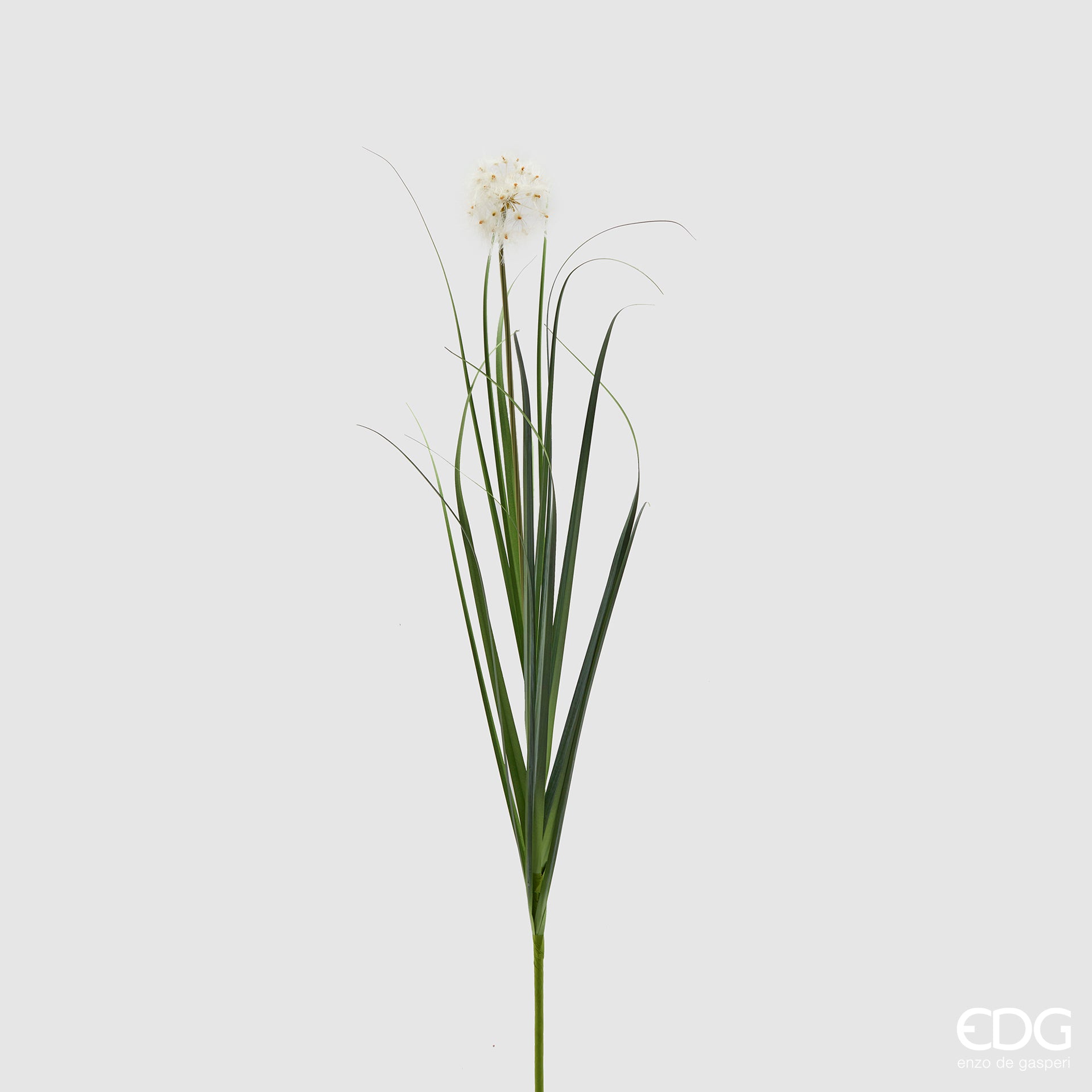 Ramo artificiale di festuca EDG Enzo de Gasperi con foglie variegate verde scuro e fiore crema. Fogliame realistico dal design slanciato, ideale per composizioni floreali e vasi d'arredo.