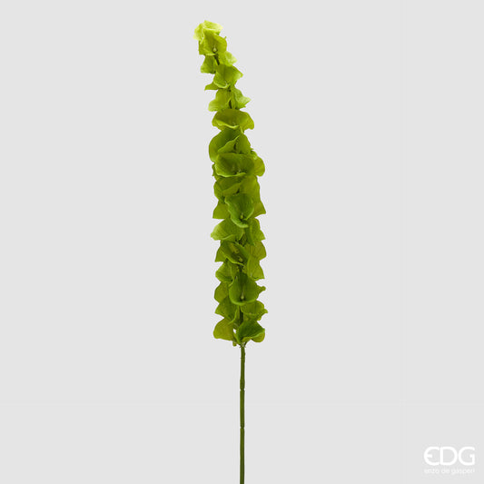 Ramo artificiale di molucella EDG Enzo de Gasperi con foglie variegate verde scuro. Fogliame realistico dal design slanciato, ideale per composizioni floreali e vasi d'arredo.