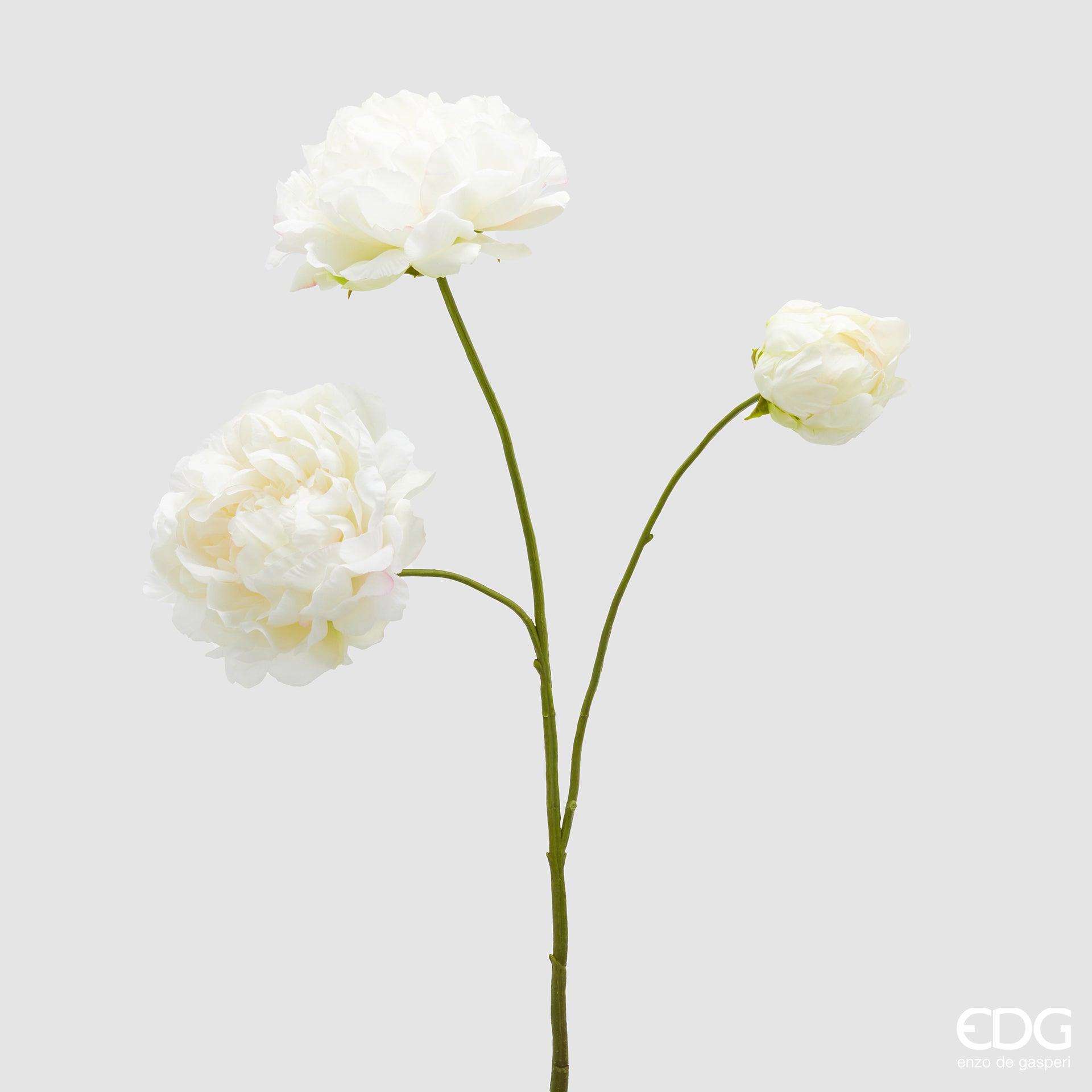 Ramoscello di peonia artificiale EDG Enzo de Gasperi in silicone. Fiori realistici e foglioline sul ramoscello scuro. La sua altezza di 67 cm lo rende ideale per decorazioni floreali durevoli e home decor importante.