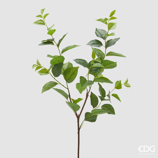 Ramo artificiale di pioppo EDG Enzo de Gasperi con foglie variegate verde. Fogliame realistico dal design slanciato, ideale per composizioni floreali e vasi d'arredo.