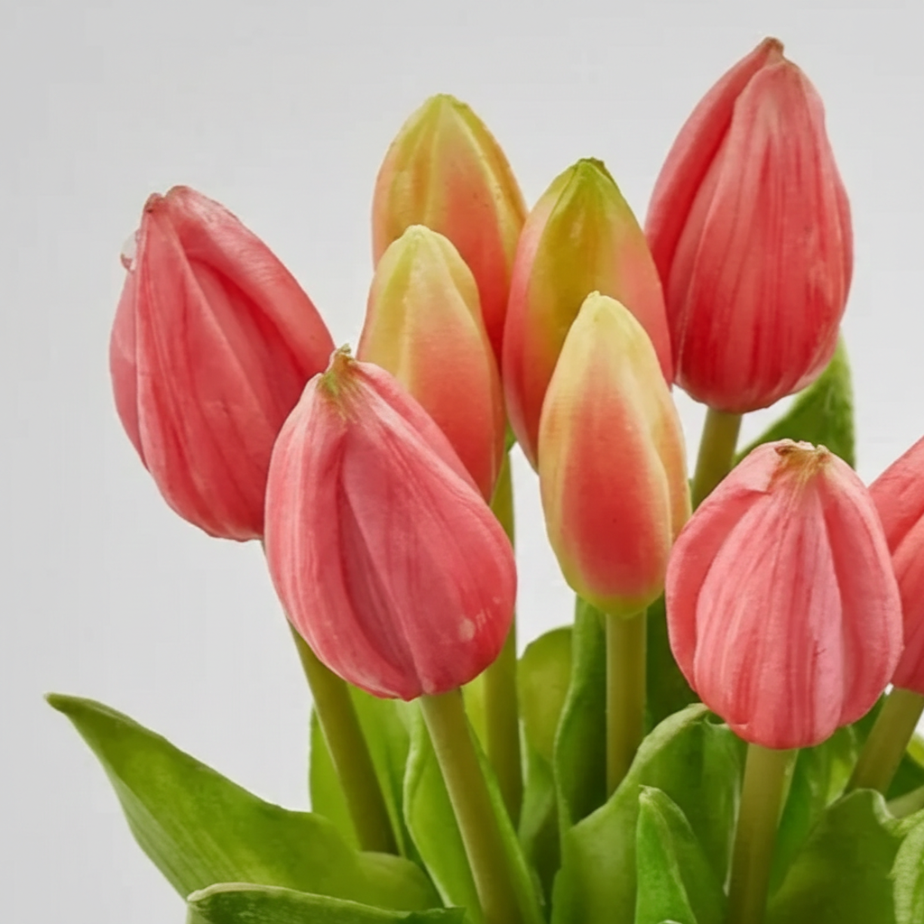 Primo piano di tulipani rosa fucsia intenso in silicone con boccioli chiusi e foglie verdi vivaci.
