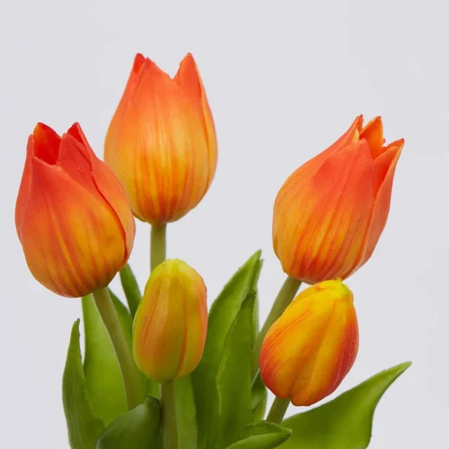 Primo piano di tulipani arancione intenso in silicone con boccioli chiusi e foglie verdi vivaci.