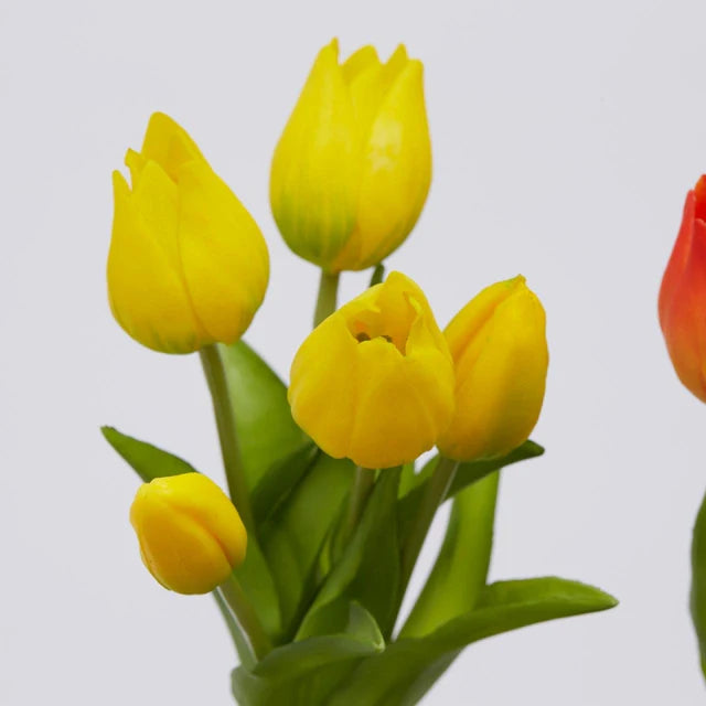 Primo piano di tulipani giallo intenso in silicone con boccioli chiusi e foglie verdi vivaci.